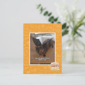 Carte Postale Singes en vacances (Debout devant)