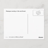 Carte Postale Singes : Macaque à Kalimantan Indonésie (Dos)