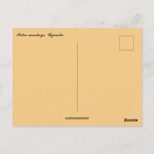 Carte Postale Singes Patas en Ouganda (Dos)