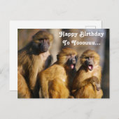 Carte Postale Singes qui chantent drôles - Macaques de Barbarie (Devant / Derrière)