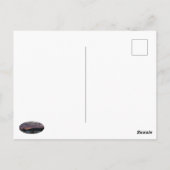 Carte Postale Sinister Sunset (Dos)