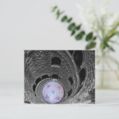 Carte Postale Sintra - Portugal (Debout devant)