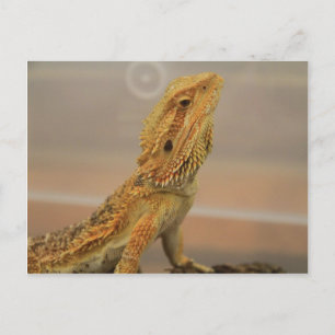 Carte Postale Sir Charles Posing