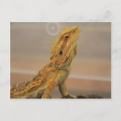 Carte Postale Sir Charles Posing (Devant)