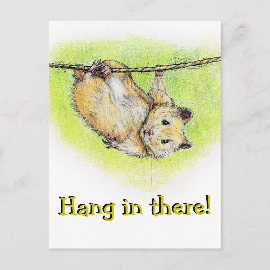 Carte Postale Sir Ham (Devant)