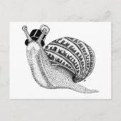 Carte Postale Sir Peter l'escargot (Devant)