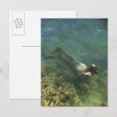 Carte Postale Sirène nageant sous l'eau (Devant / Derrière)
