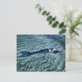 Carte Postale Sirène Saltwater (Debout devant)