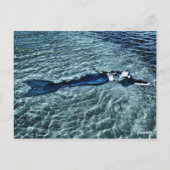 Carte Postale Sirène Saltwater (Dos)