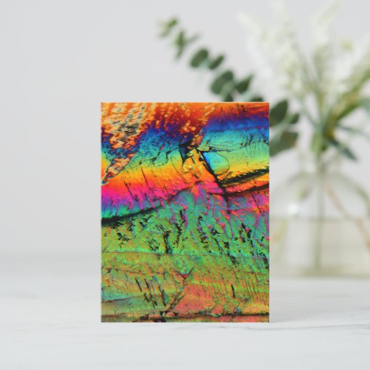 Carte Postale sirop d'érable au microscope (Debout devant)