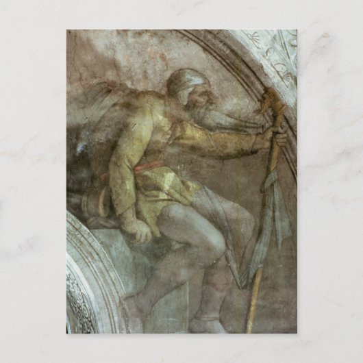 Carte Postale Sistine Chapel Ceiling (Devant)