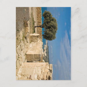 Carte Postale Site archéologique de Kourion, Chypre