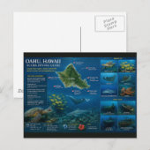 Carte Postale Sites de plongée à Hawaï (Devant / Derrière)