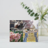 Carte Postale Sites de Washington, D.C. (Debout devant)