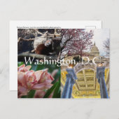 Carte Postale Sites de Washington, D.C. (Devant / Derrière)