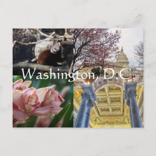 Carte Postale Sites de Washington, D.C.