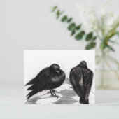 Carte Postale Situation grave de Pigeon 2012 (Debout devant)