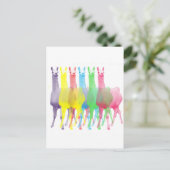 Carte Postale six lamas dans six couleurs de lama (Debout devant)