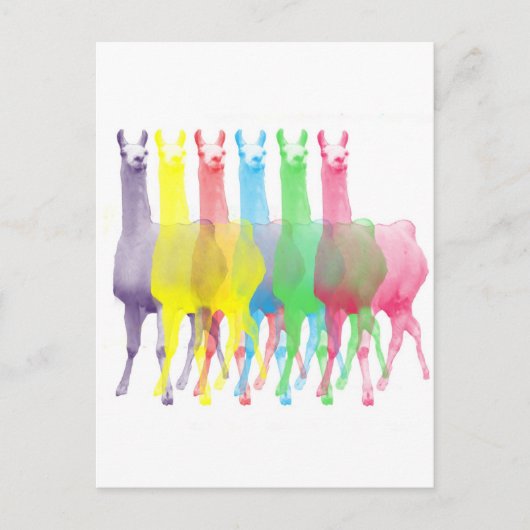 Carte Postale six lamas dans six couleurs de lama (Devant)