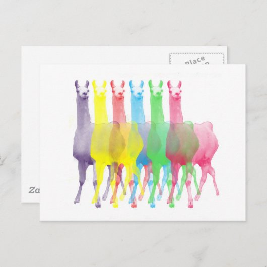 Carte Postale six lamas dans six couleurs de lama (Devant / Derrière)