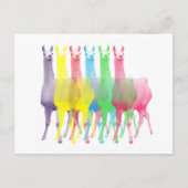 Carte Postale six lamas dans six couleurs de lama (Devant)