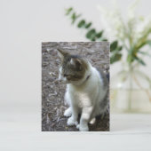 Carte Postale Six orteils (Debout devant)