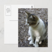 Carte Postale Six orteils (Devant / Derrière)
