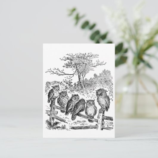 Carte Postale Six Petits Chouettes assis sur une clôture brisée (Debout devant)