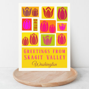 Carte Postale Skagit Valley County Tulip Washington