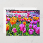 Carte postale Skagit Valley Tulip (Devant / Derrière)