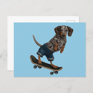 Carte Postale Skateboard Dachshund