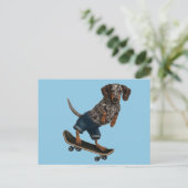 Carte Postale Skateboard Dachshund (Debout devant)