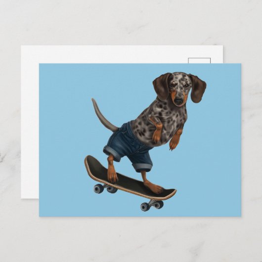 Carte Postale Skateboard Dachshund (Devant / Derrière)