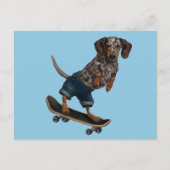 Carte Postale Skateboard Dachshund (Devant)