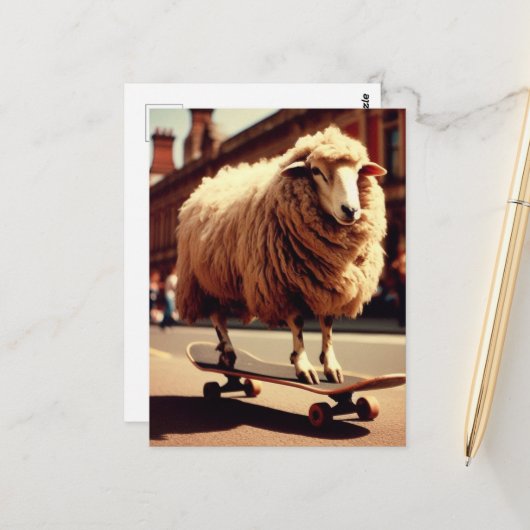 Carte Postale Skateboard White Sheep Retro Photo (Devant/Arrière en situation)