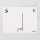 Carte postale Skeleton Horse Carraige (Dos)