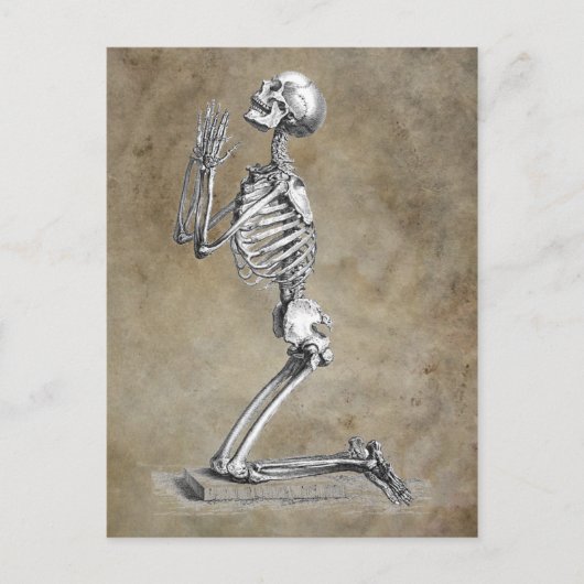 Carte Postale Skeleton humain agenouillé dans la prière (Devant)