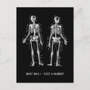 Carte Postale Skeleton Questions pour Halloween