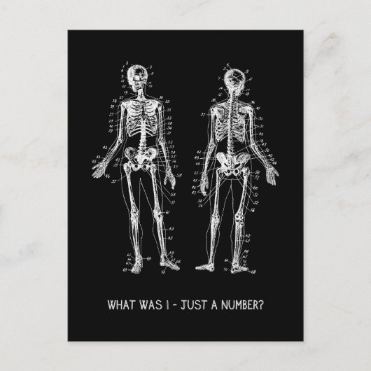 Carte Postale Skeleton Questions pour Halloween (Devant)