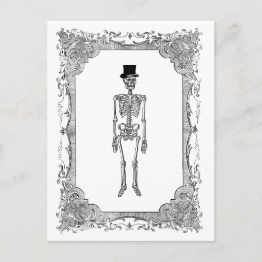 Carte Postale Skeleton Top Hat Vintage Frame Halloween (Devant)