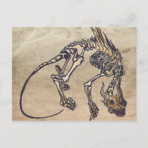 Carte postale Skellie