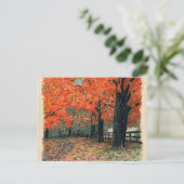Carte postale Sketchbook Classic Art-10 (Debout devant)