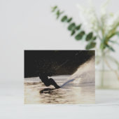 Carte Postale skieur de dusk (Debout devant)