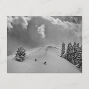 Carte Postale Skieurs de randonnée dans la poudreuse