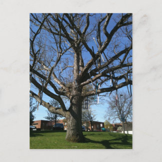 Carte Postale Skis dans un arbre