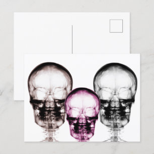 Carte Postale Skulls de Mixed Color X-Ray Vision