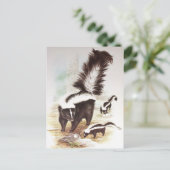 Carte Postale Skunks Dans La Neige (Debout devant)