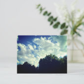 Carte postale Sky (Debout devant)