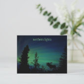 Carte postale Sky Colorée Northern Lights (Debout devant)