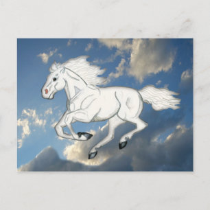 Carte postale Sky Horse Blanc